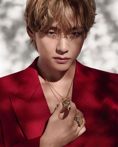 taehyung cartier|bts v Cartier.